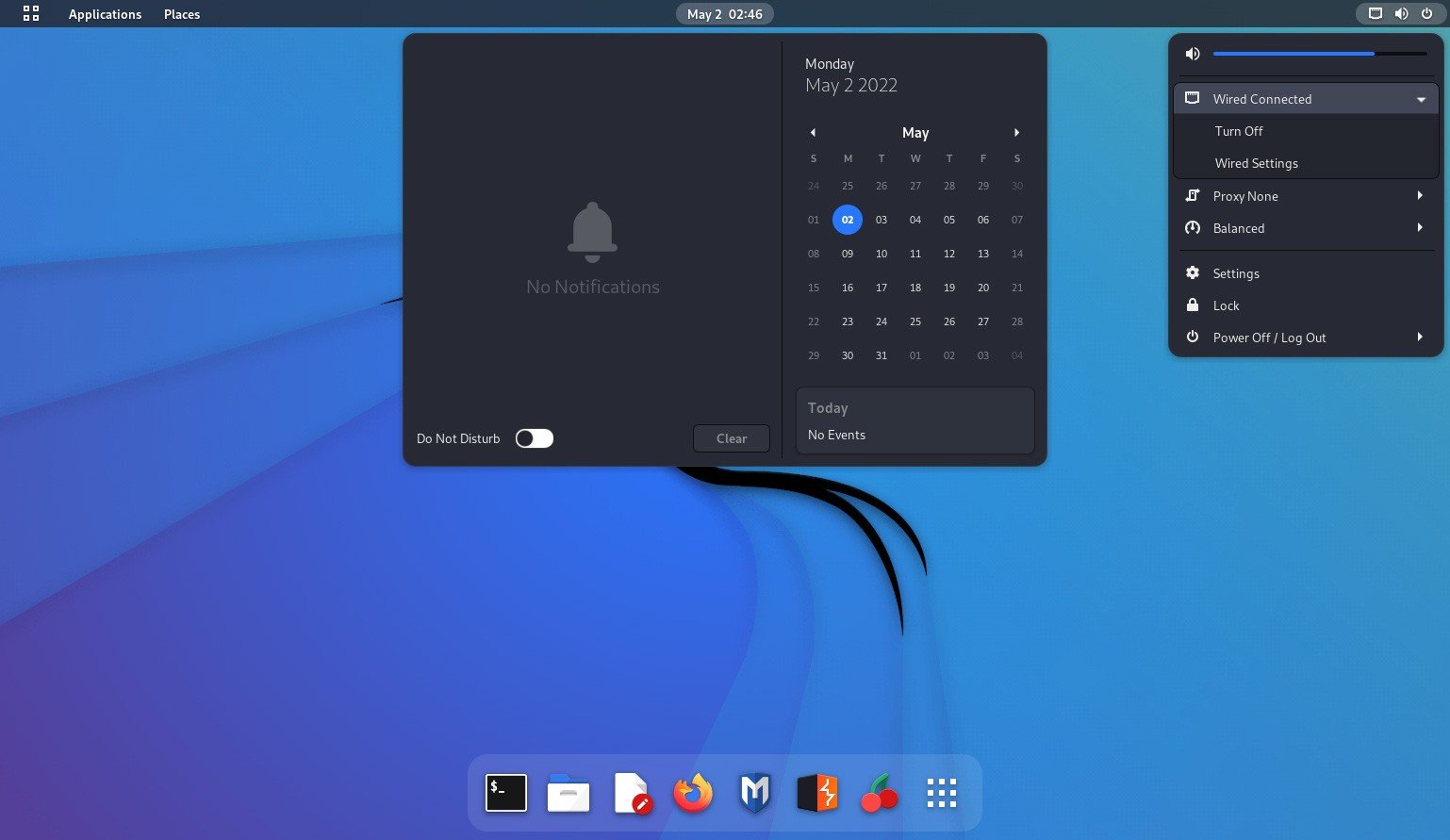Kali Linux screenshot 1